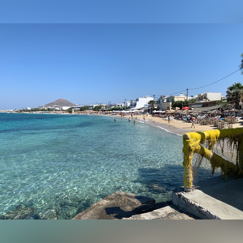 ⭐️ Meet Your Posher, Antonia ⭐️ - Picture 4 of 16